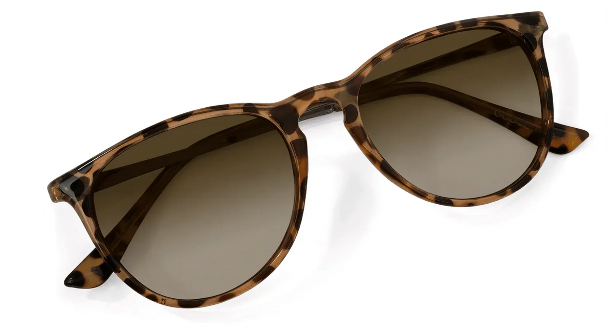 Shockoe Sunglasses
