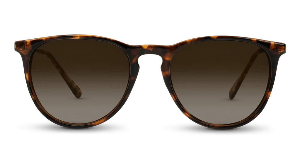Shockoe Sunglasses